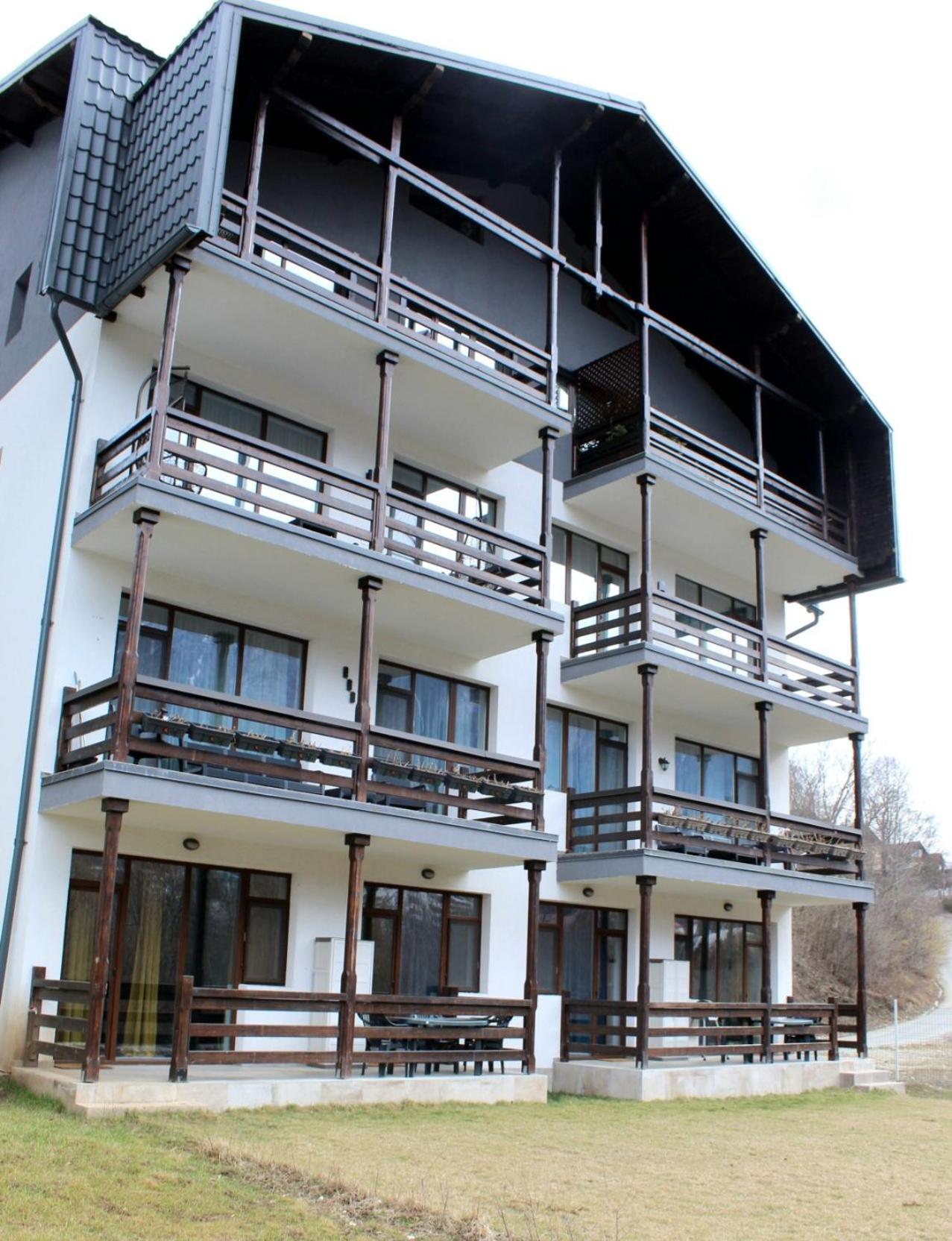 Cross Caraiman View 1 Apartment Busteni Exterior photo